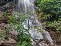 -陕西省红河谷森林公园