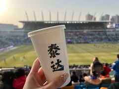 -泰达足球场