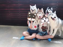 -TrueLove @ Neverland (Husky Cafe)