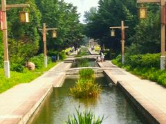 -洛阳市隋唐城遗址植物园