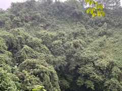 -海口火山口国家地质公园
