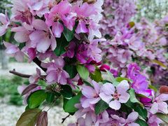 -元大都城垣遗址公园