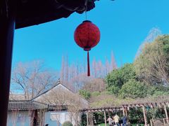 -上海醉白池公园
