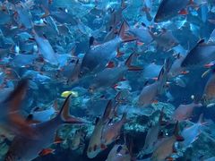 -成都浩海立方海洋公园