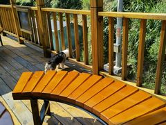 -将军关探险漂流