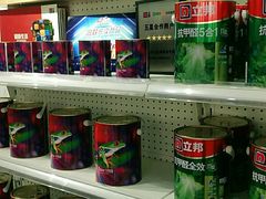 -立邦(汶水红星美凯龙专卖店)