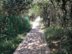 -穹窿山景区