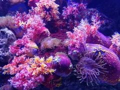 -成都浩海立方海洋公园