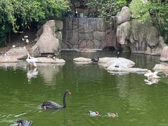 -合肥野生动物园