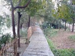 -贵阳市花溪国家城市湿地公园