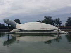 景点-东方巨龟苑景区