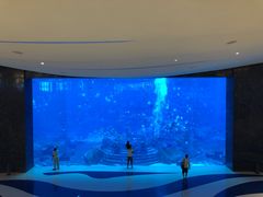 -亚特兰蒂斯•OSSIANO奥西亚诺海底餐厅