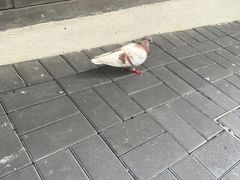-香港ELEMENTS圆方