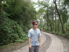 -紫金山天文台