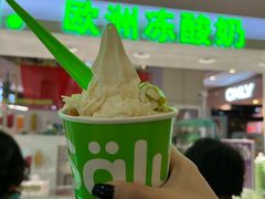 -Salud撒露欧洲冻酸奶(五道口购物中心店)