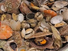 -赶海部落海鲜城(海阳路店)