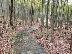 -广州市石门国家森林公园