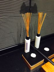 -THANN EXPRESS SPA
