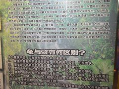 -上海大自然野生昆虫馆(东方明珠·爬宠昆虫探索中心)