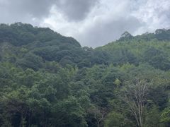 -宁波五龙潭景区