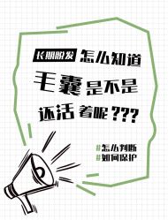 -Bollins波林丝•专研护发中心