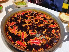 -青年火锅(吾悦广场直营店)
