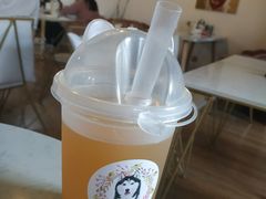 -Husky Go! 哈士奇体验馆·宠物咖啡厅狗咖