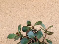 -壹家水货·小海鲜