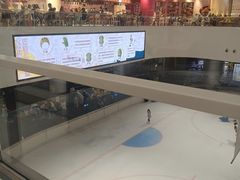 -TheRink大零溜冰场(IFS国金中心店)
