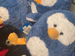 -沈阳海洋探索中心