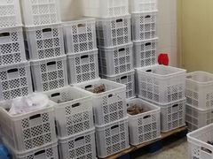 -璐坊粽王(复兴中路店)