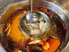 -金鼎雪山牦牛杂火锅(理县总店)