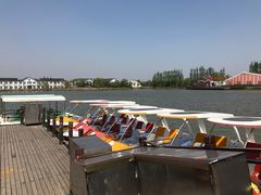 -上海长兴岛郊野公园