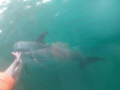 -波塞冬旅游度假区