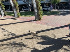 -布里斯班南岸公园