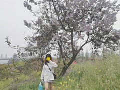 -上方山森林动物世界
