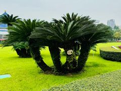 -广州中山纪念堂