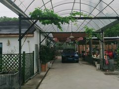 -美家乐农庄·露营·团建(大治路店)