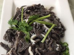 -杨记小骨头羊杂馆(南五马路店)