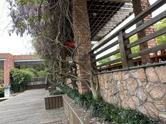 -青枫公园