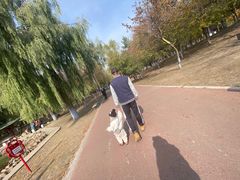-黛秀湖公园