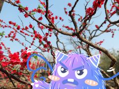 -香山公园