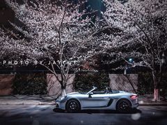 -高东镇樱花园