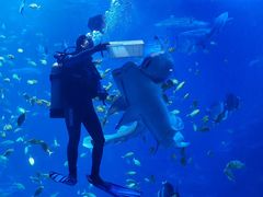 -太平洋海底世界