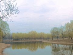 -东郊湿地公园