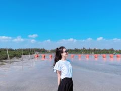 -红树林天天赶海