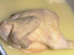 -禄婶鸡煲·打边炉