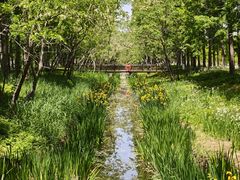 -黄海国家森林公园