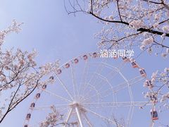 -顾村公园