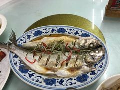 清蒸白丝鱼-状元楼(金溪路店)